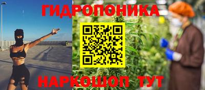 шишки Ливны