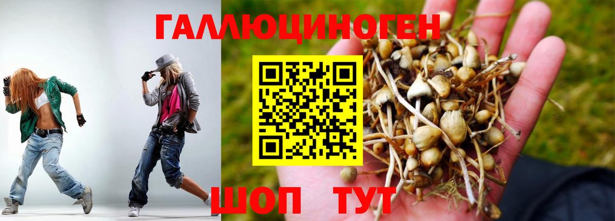 Галлюциногенные грибы MAGIC MUSHROOMS  Вход с VPN  Ессентуки  Галлюциногенные грибы прущие грибы 